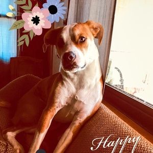 Meet your Posher, Ashley